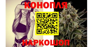винт Шелехов