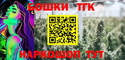 винт Шелехов