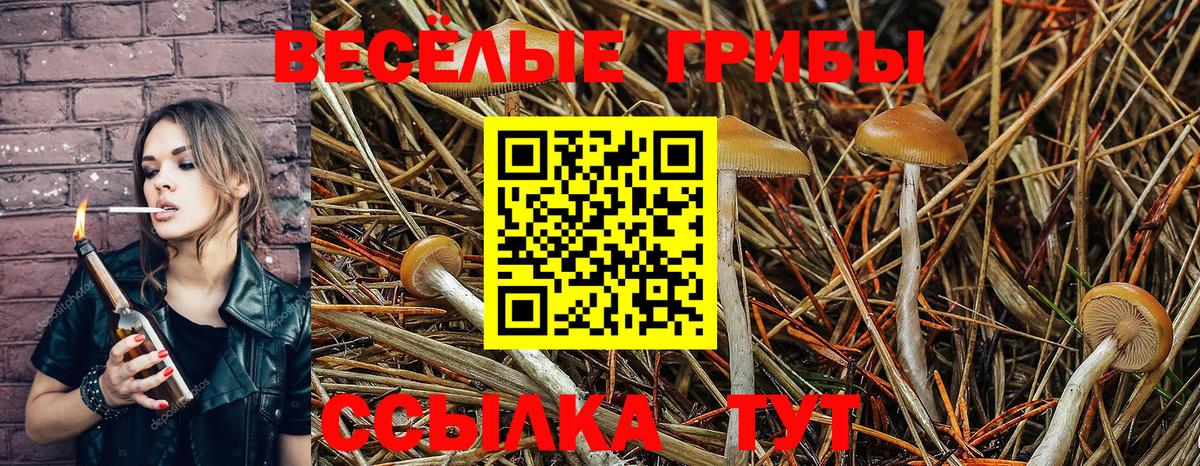 Псилоцибиновые грибы ЛСД Асино