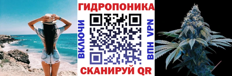 Бошки Шишки сатива Асино